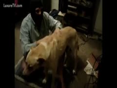 In this animal sex video, the boyfriend satisfies his partner by inviting him to have a brutal fuck with the household pet.